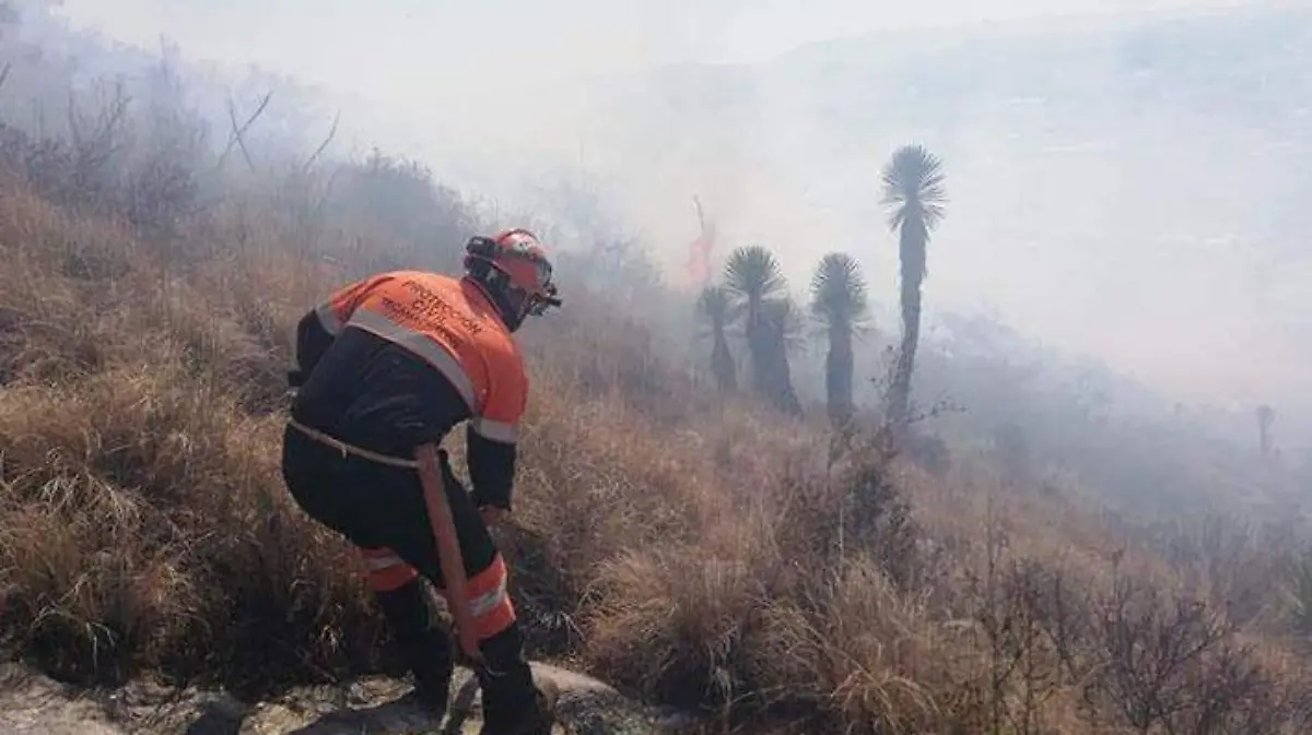 INCENDIO TECAMACHALCO